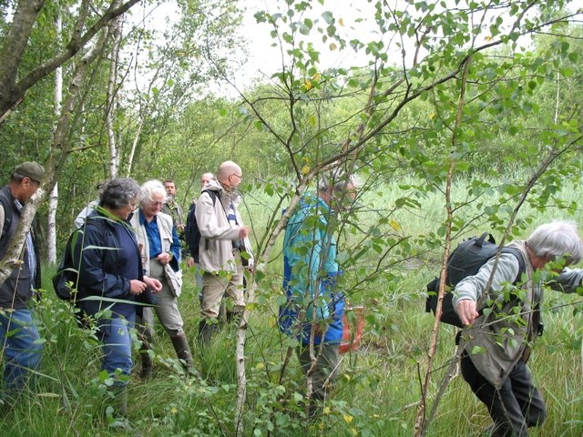 2007 07 Marais du Cerisaie 06